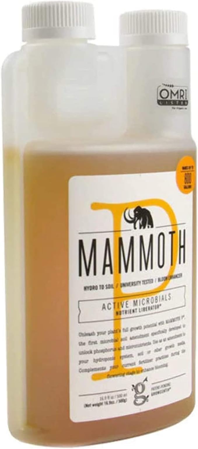 Mammut P