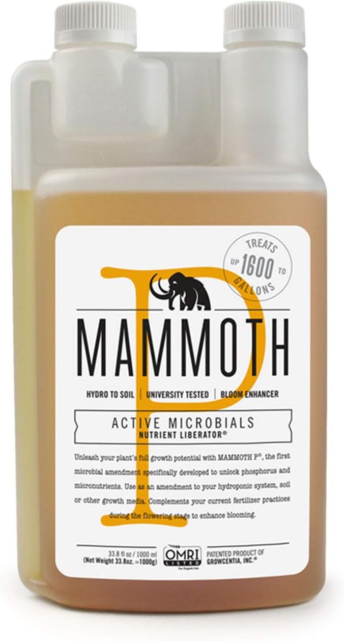 Mammut P