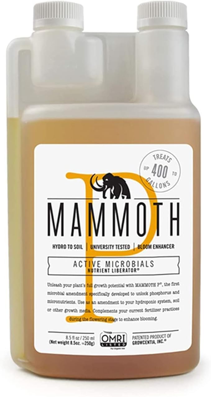 Mammut P