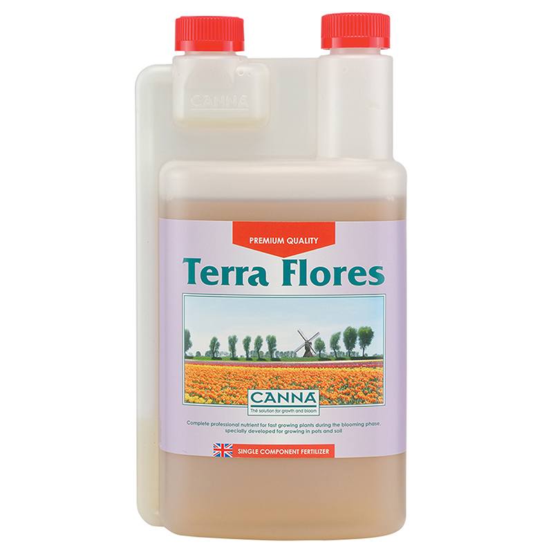 Terra Flores Canna