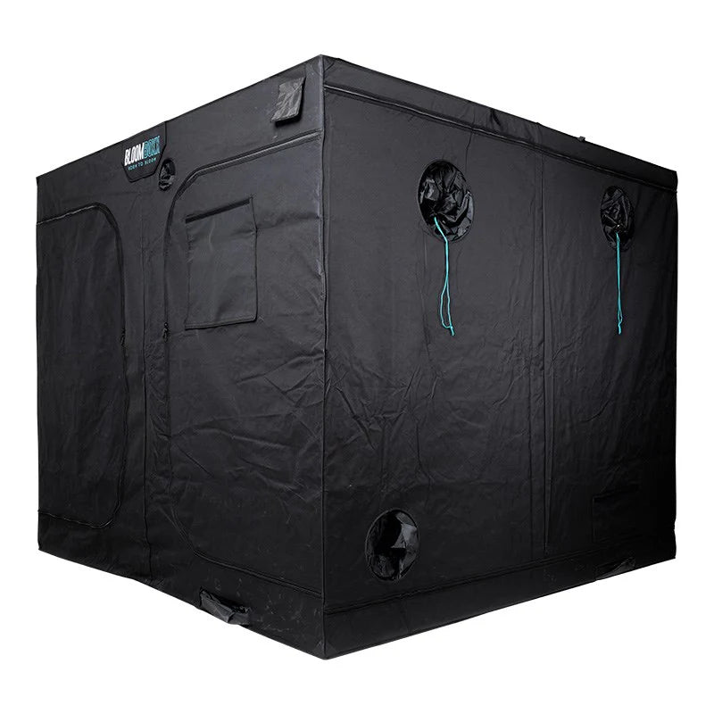 Bloomboxx 2m/ 2m/ 2m