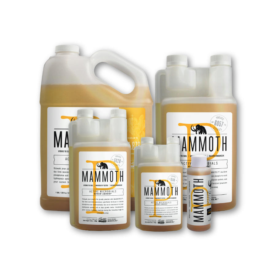 Mammut P
