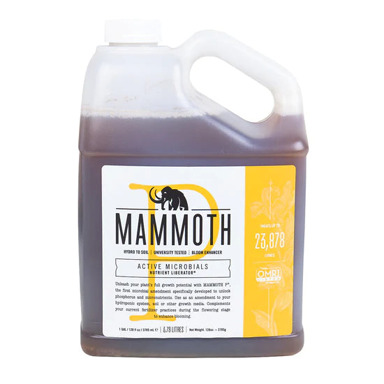 Mammut P