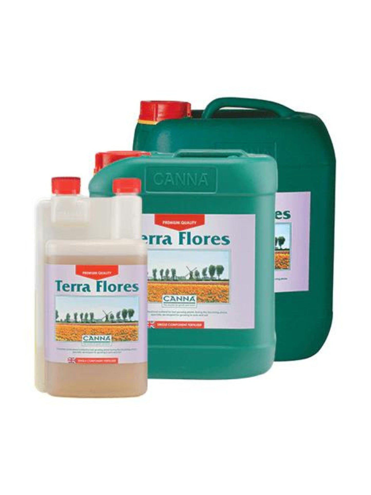 Terra Flores Canna