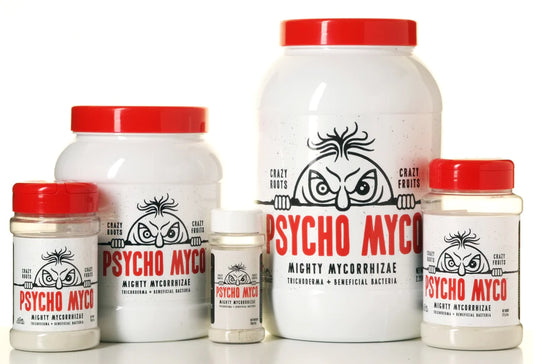 PSYCHO MYCO