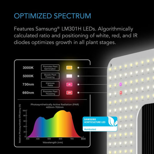 Ionboard S33, Full Spectrum LED Grow Light 240W