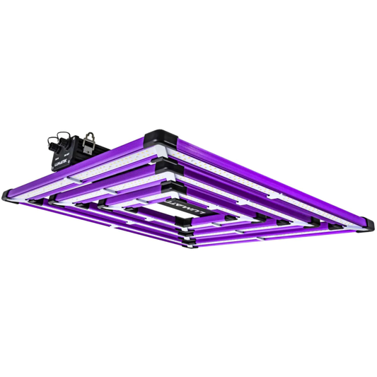 Lumatek Attis 300w LED