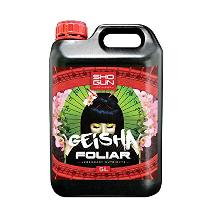 Shogun-Geisha-Blatt