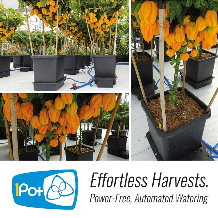 Autopot 1 Pot Extension Kit - 15L