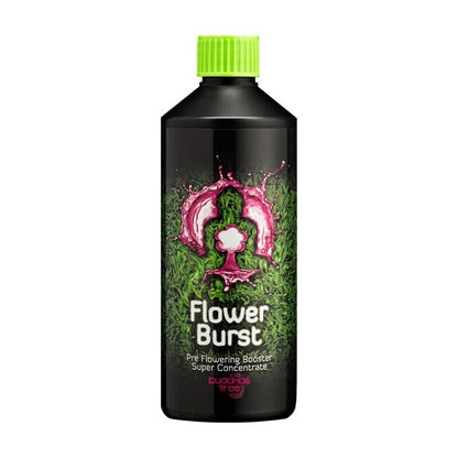Flower Burst Buddhas Baum
