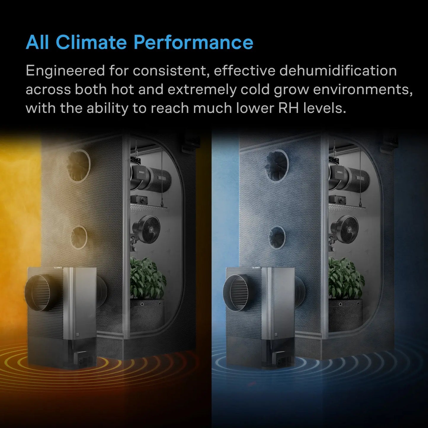 HYDRONE 5 Plant Dehumidifier with 10 Drying Levels, All Climate Performance, up to 4x4
