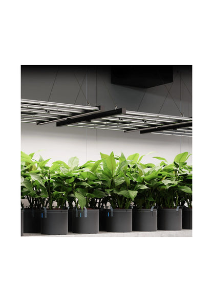 IONFRAME EVO4, Samsung LM301H EVO Commercial LED Grow Light, 300W, 3X3 FT