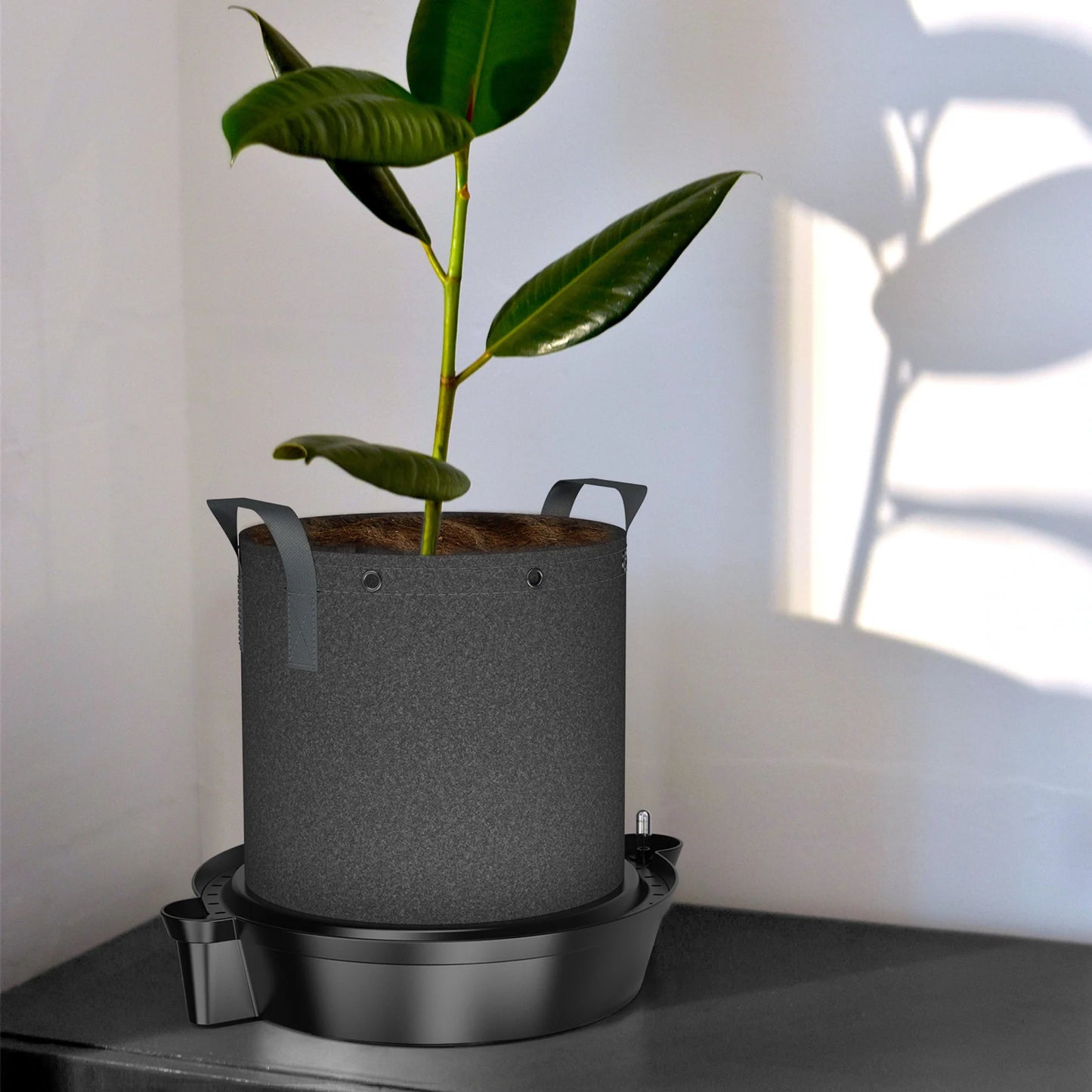 AC Self-Watering Fabric Pot Base, 4 Pack